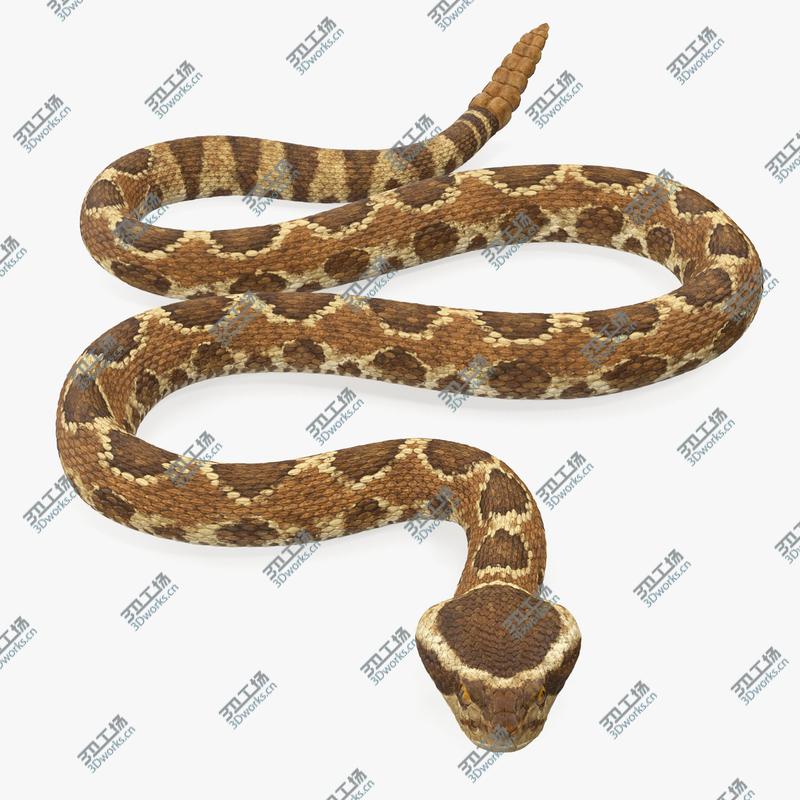 images/goods_img/202105072/Light Rattlesnake Crawling Pose 3D model/1.jpg